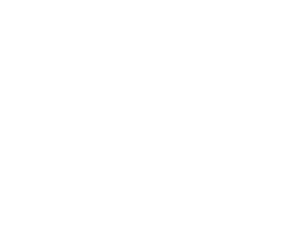 logo white new