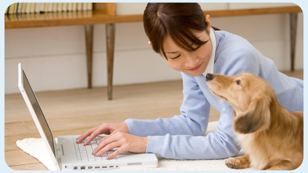 PetShop Online - Demanda de Pet shops online